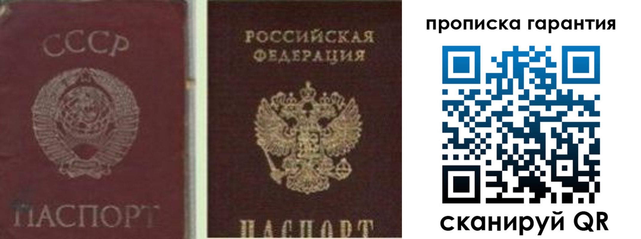 миграционный учет в Светлом